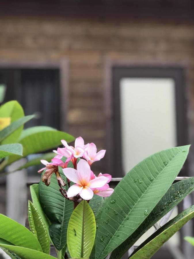 Island Paradise Resort Club Koror Bagian luar foto